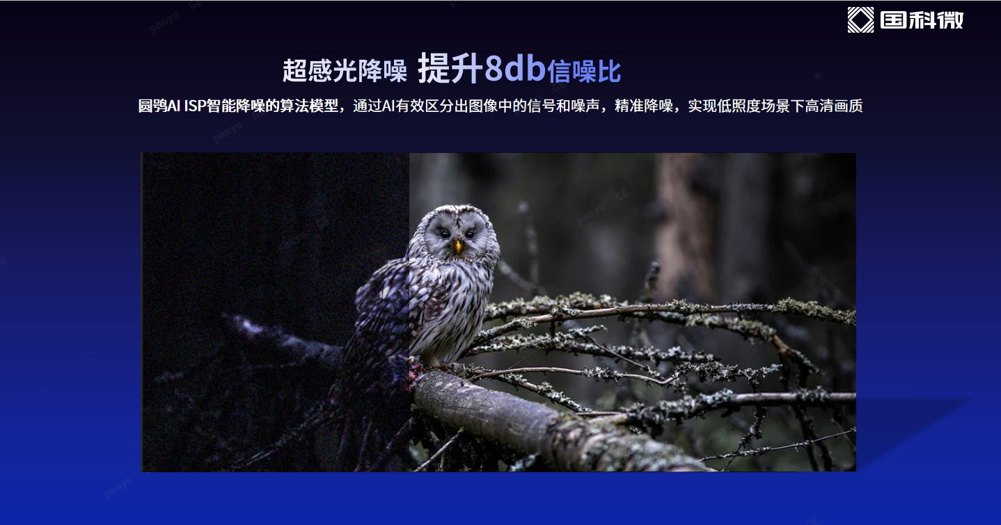 CA88(�й�)Ψһ�ٷ���վ���